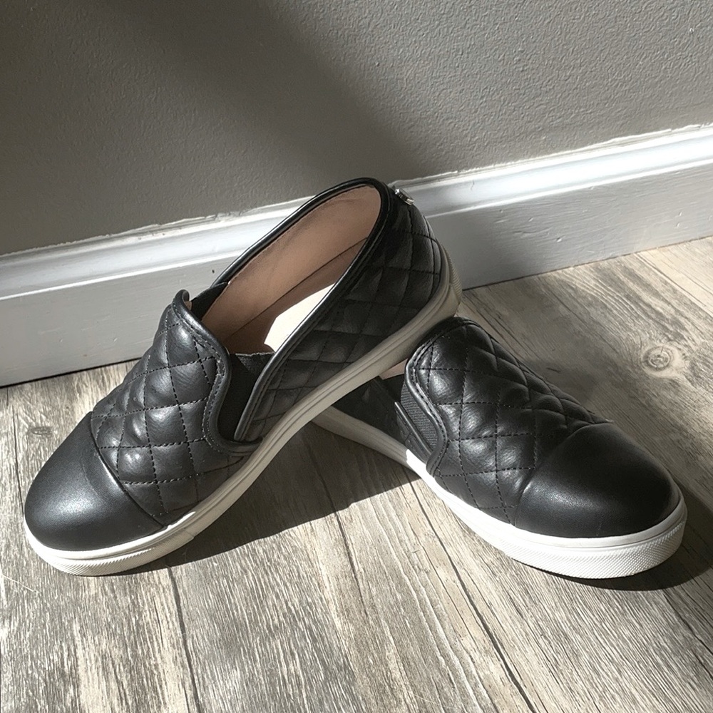 STEVE MADDEN sneaker (ECENTRCQ)